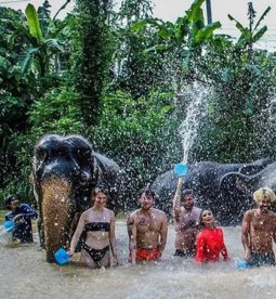 Doing activities with elephants.
