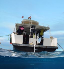 มือใหม่เริ่มต้นได้ มีสถานที่สอนดำน้ำ