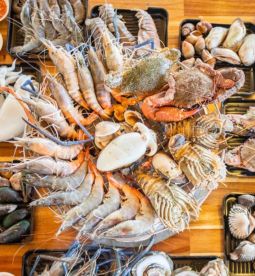 ตะลุยกินของอร่อย + นั่งชิลในคาเฟ่<i>อ่าวนาง</i> - Explore delicious food and relax at Aonang cafes.