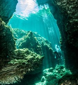 The Diversity of Diving Spots