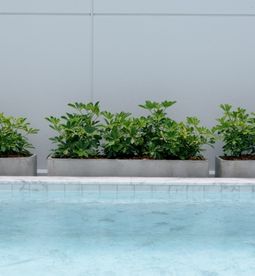 Expertise in documentation and legal matters