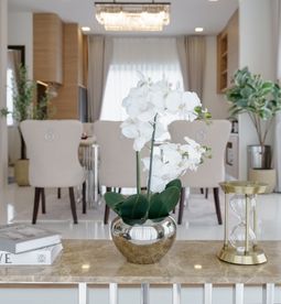 Have an emergency savings