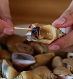 Hoi Chak Teen (Wing Shell)