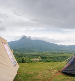 Khao Phanom Bencha National Park