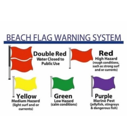 Observe the beach flags