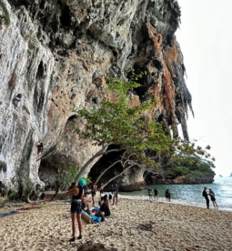 Thaiwand Wall