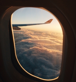 Obsessed with checking flight tickets and accommodations.