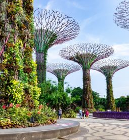 สิงคโปร์ - Singapore