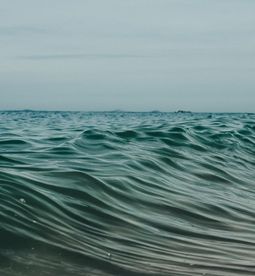 เหมาะกับทั้งการดำน้ำตื้นและน้ำลึก