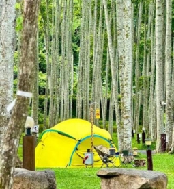 Than Bok Khorani National Park