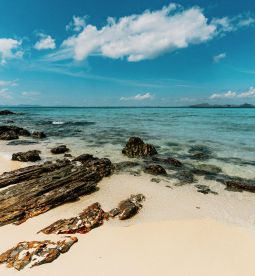 The sea and air are good for body and mind