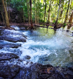 น้ำตกโตนพร้าว (Ton Phrao Waterfall)