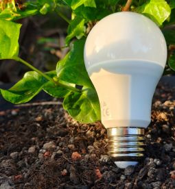 ใช้หลอดไฟ LED