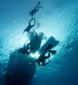 Beginners can start easily; diving schools are available.