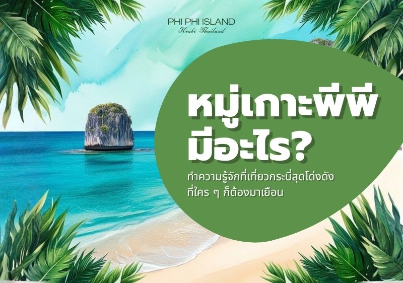 หมู่เกาะพีพีมีอะไร ทำความรู้จักที่เที่ยวกระบี่สุดโด่งดังที่ใคร ๆ ก็ต้องมาเยือน
