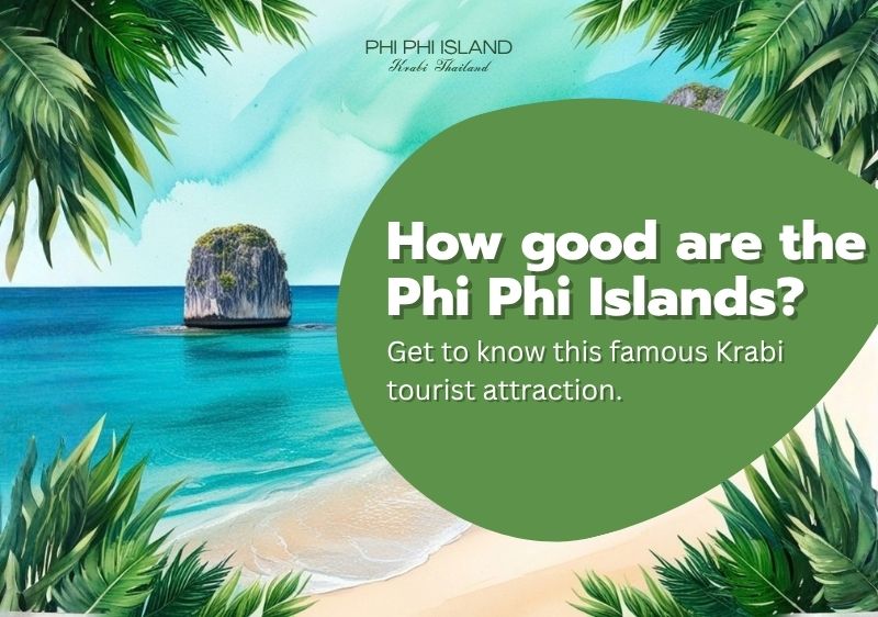 How good are the Phi Phi Islands? Get to know this famous Krabi tourist attraction.