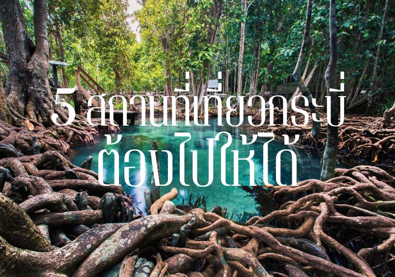 กระบี่ไม่ได้มีดีแค่ทะเล ส่อง 5 สถานที่น่าไปเยือน สำหรับชาวต่างชาติที่ย้ายมาอยู่กระบี่