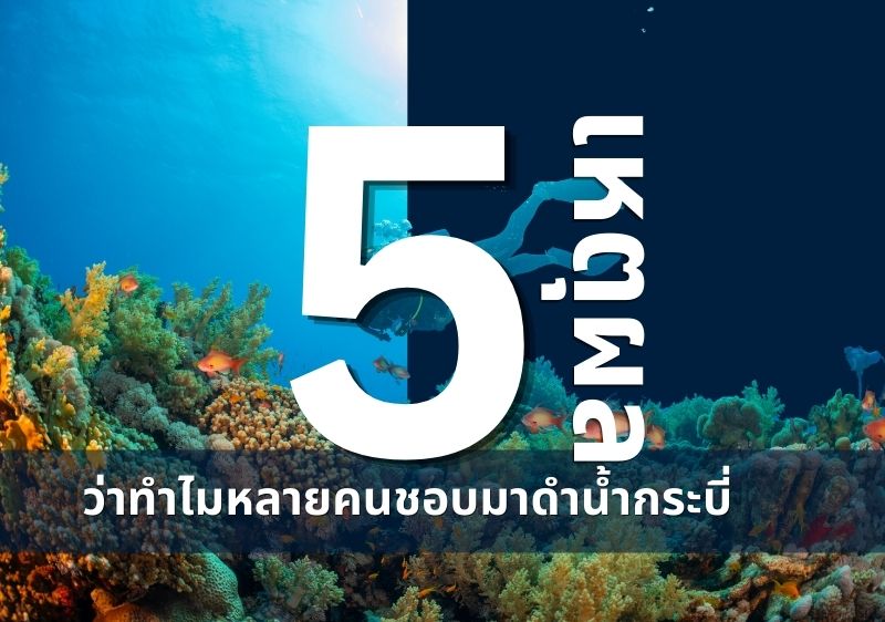 เปิดเหตุผลคนรักการดำน้ำ ว่าทำไมการดำน้ำกระบี่ ถึงดีต่อใจ!