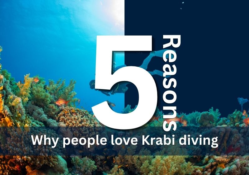 Discover the reasons why Krabi diving is so good!